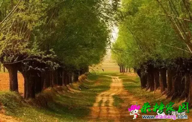 ab7542c5c17be8cbbc50630d163b7647.webp