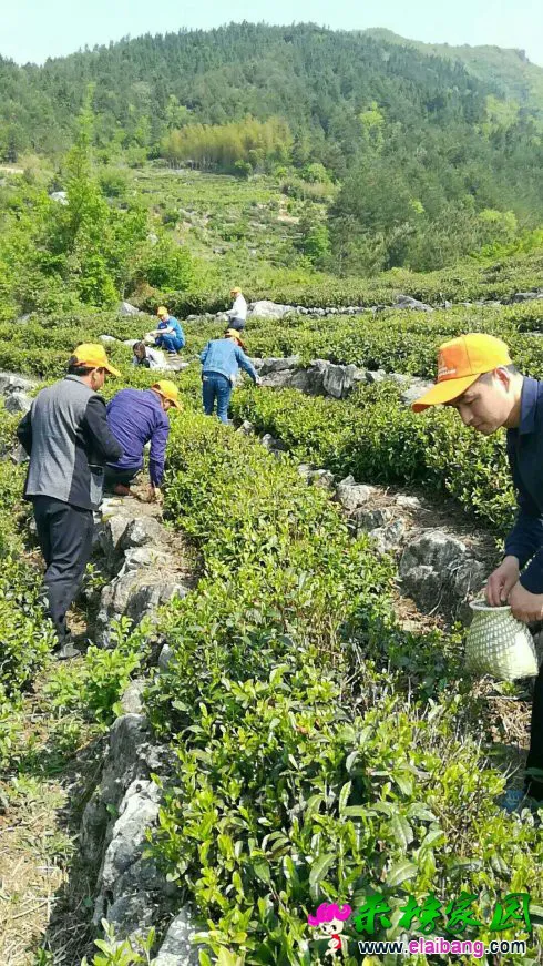 微信图片_20180503174221.webp