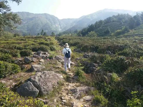 微信图片_20180503174213.webp