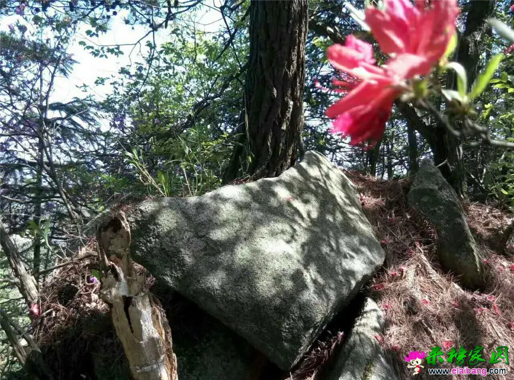 微信图片_20180503175724.webp
