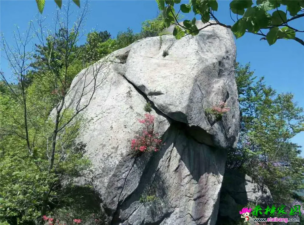 微信图片_20180503175717.webp
