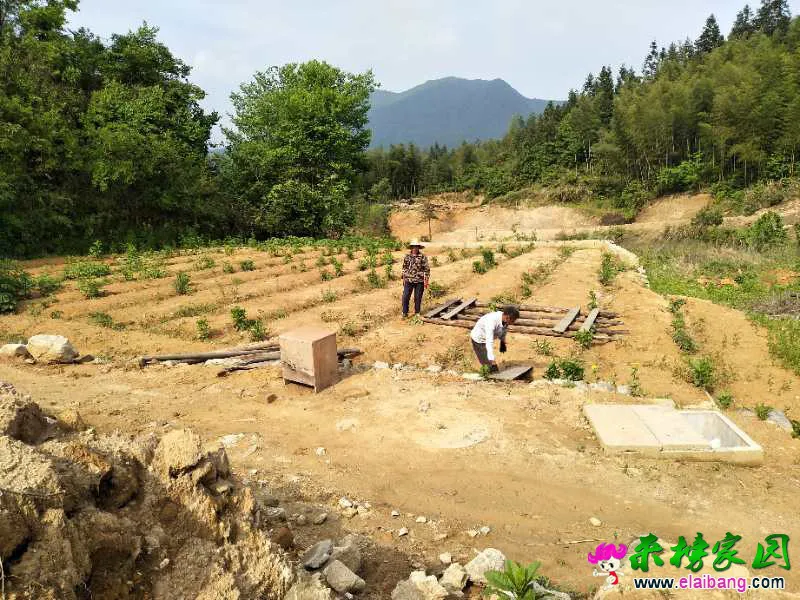 微信图片_20180503220613.webp