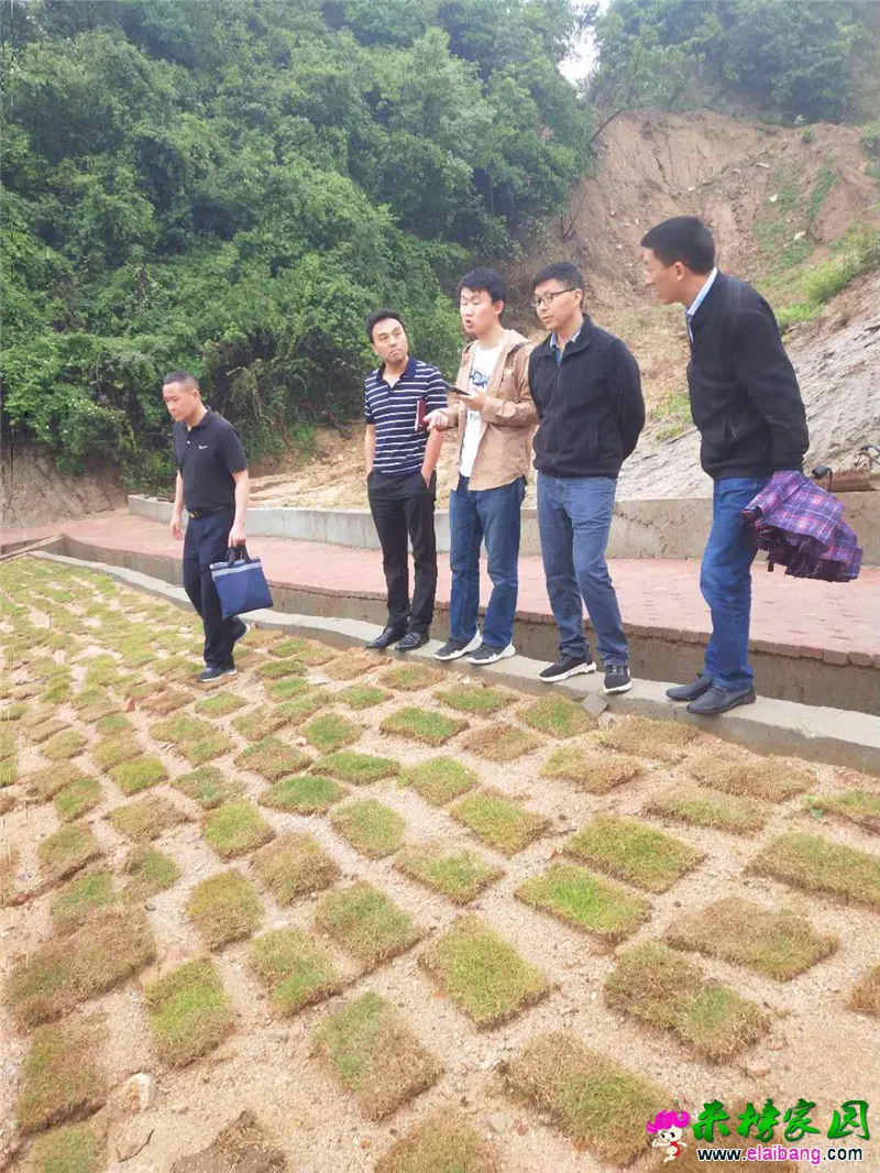 微信图片_20180505212535.webp