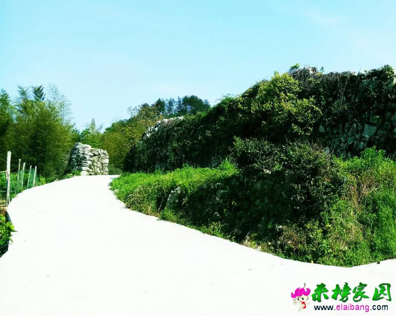 微信图片_20180505220424.webp