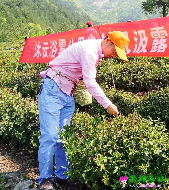 微信图片_20180505220429.webp