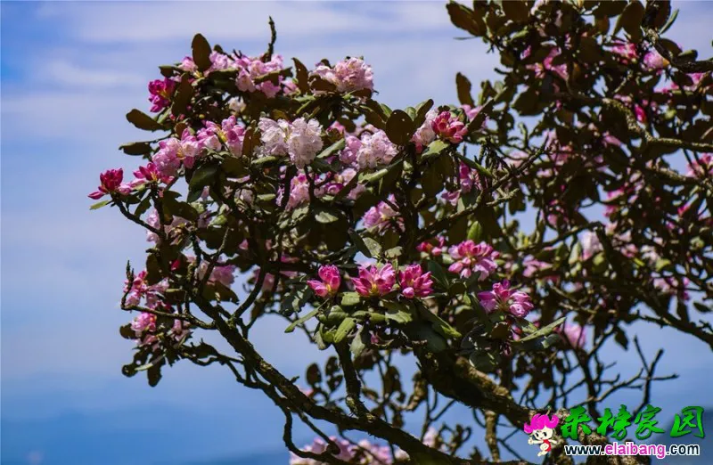 af8086023c8781374daed86bb40a814a.webp