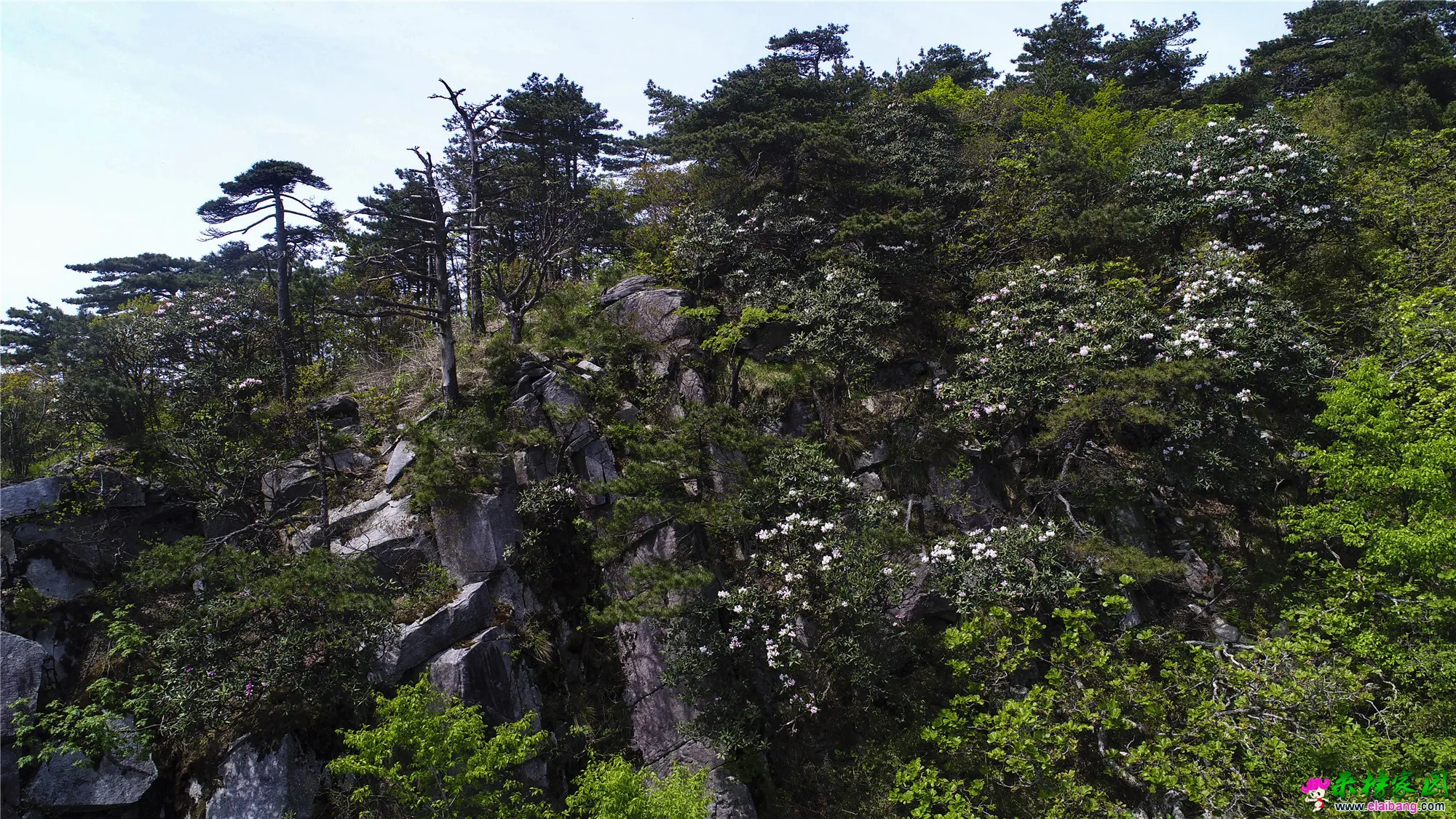DJI_0040_副本.webp