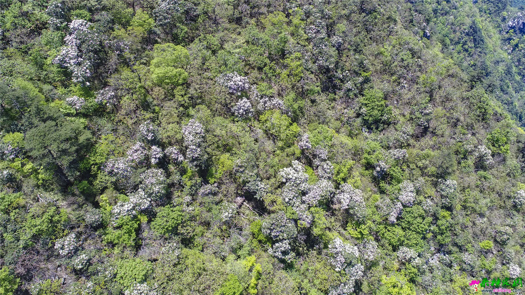DJI_0071_副本.webp
