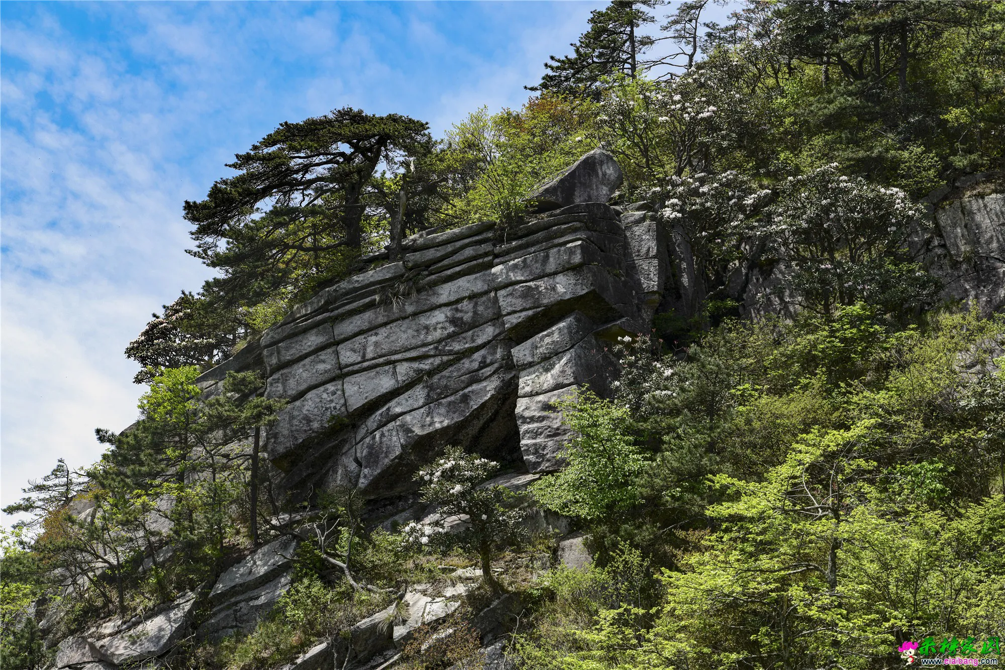 IJH_0006_副本.webp