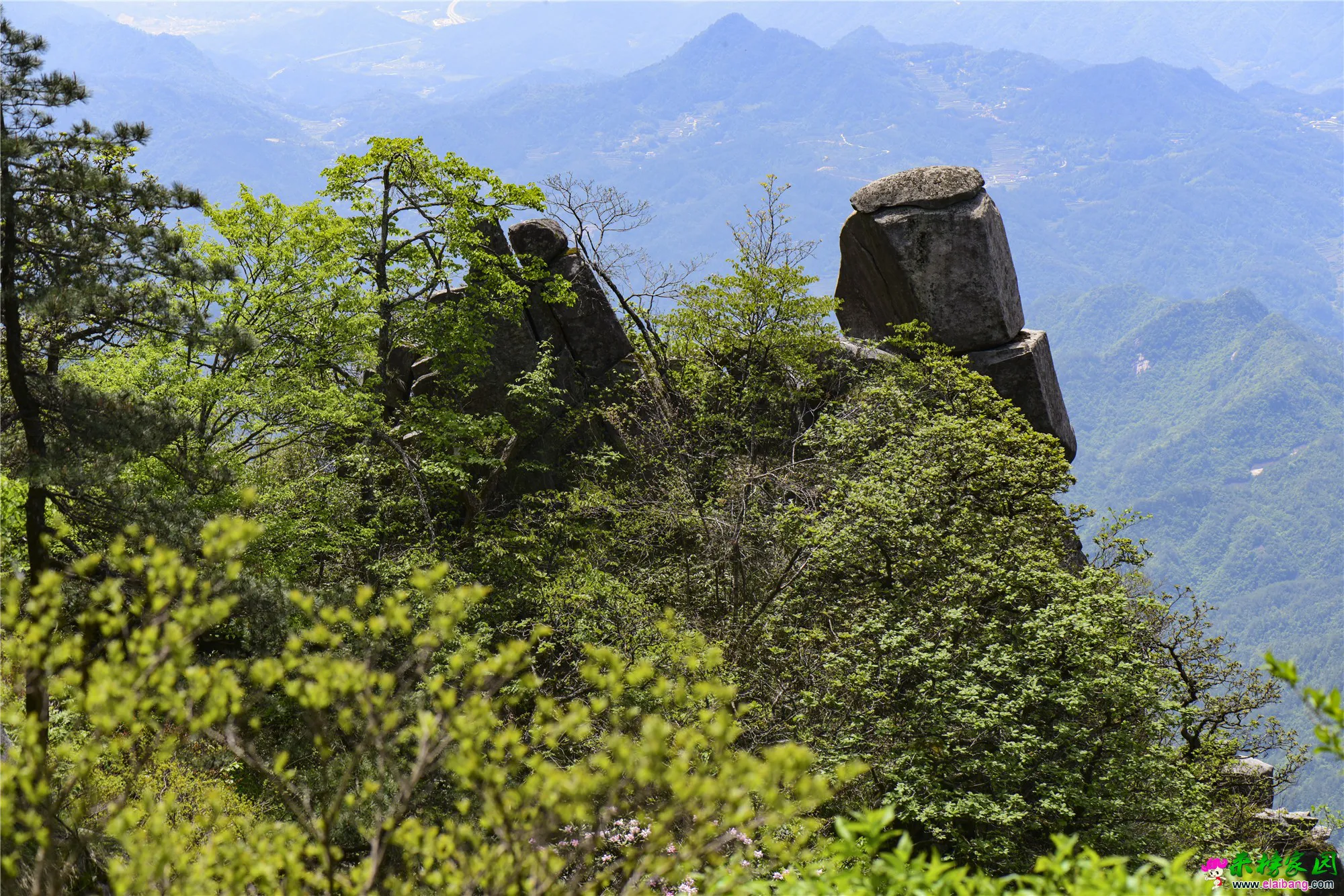 IJH_0218_副本.webp
