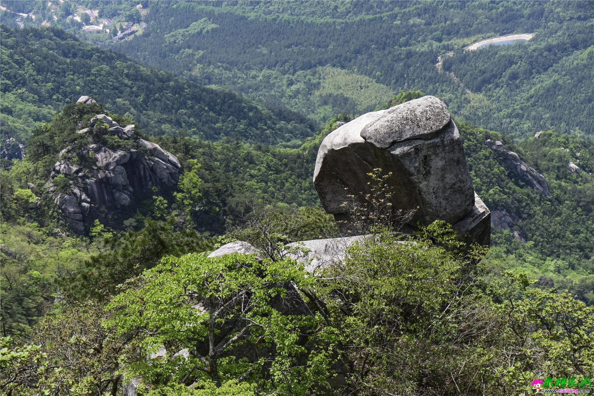 IJH_0227_副本.webp
