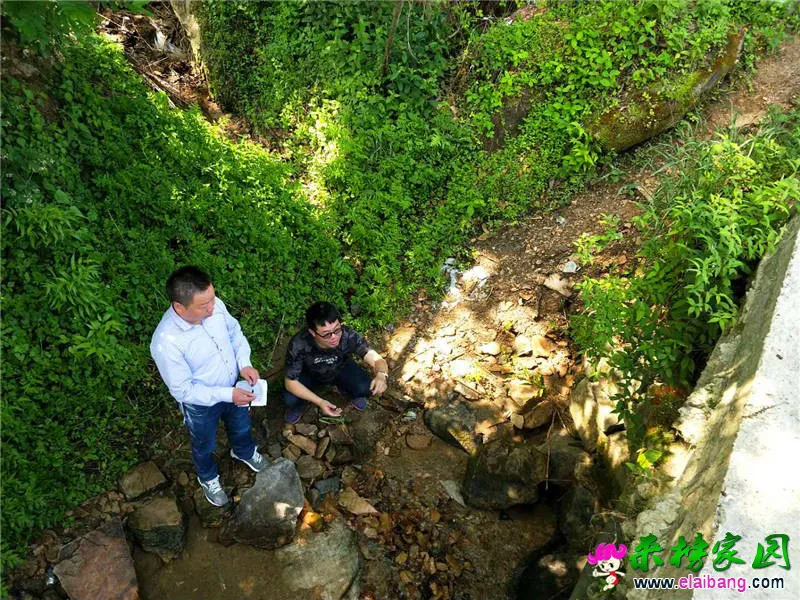 微信图片_20180509211547.webp