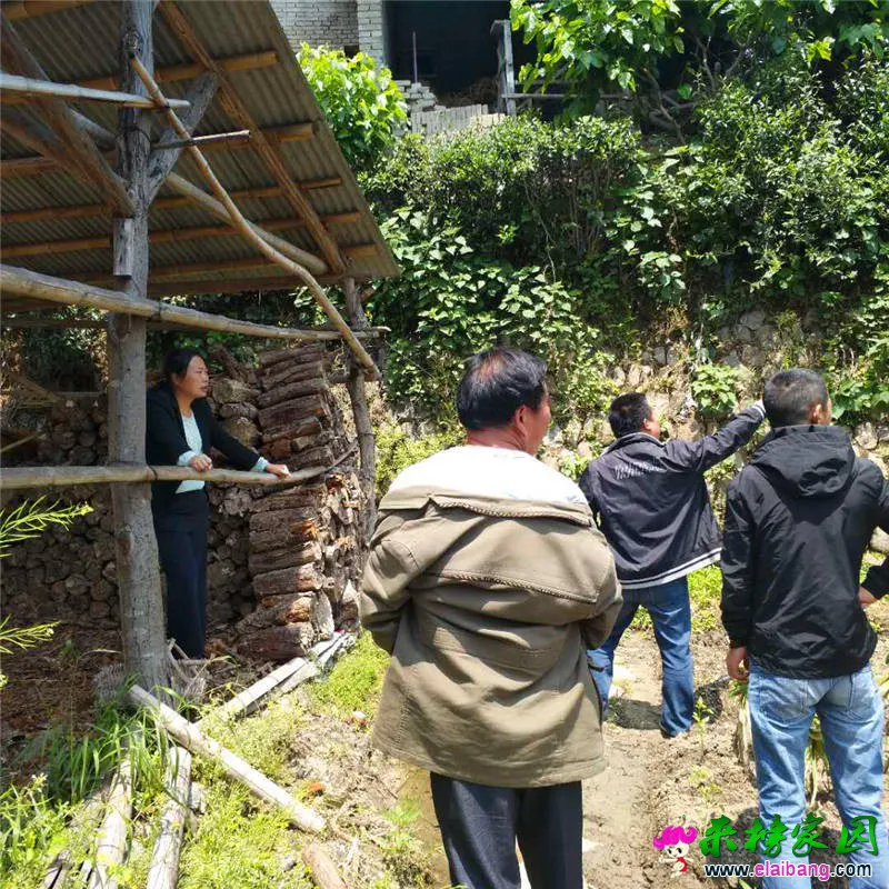 微信图片_20180509211637.webp