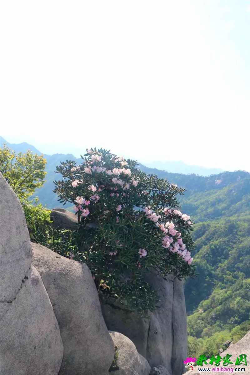 20180510_225846_009.webp