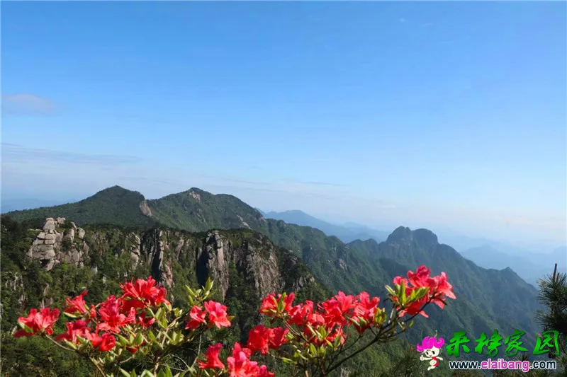 20180510_225846_008.webp