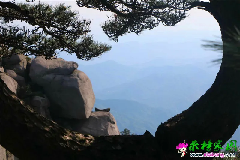 20180510_225846_010.webp