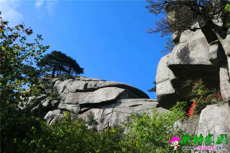 20180510_225846_013.webp