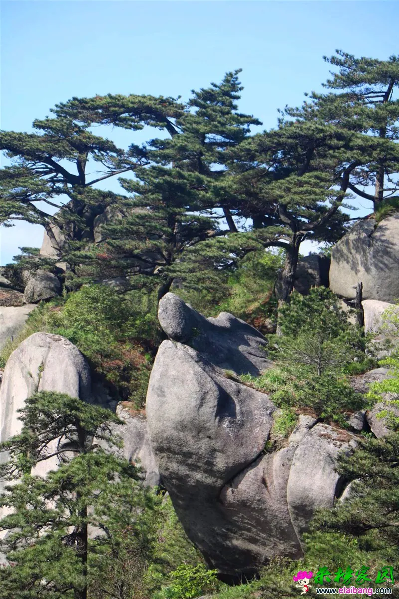 20180510_225846_011.webp