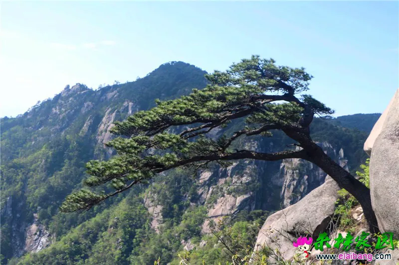 20180510_225846_012.webp