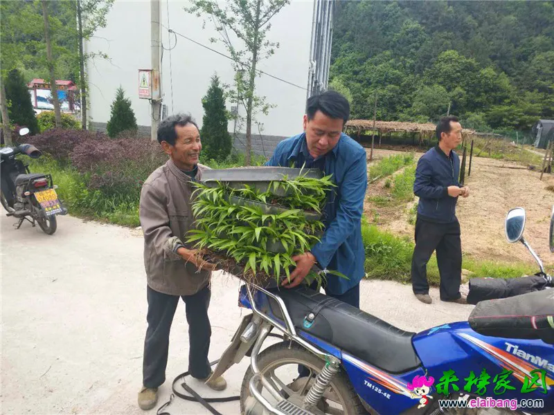 微信图片_20180510230445.webp