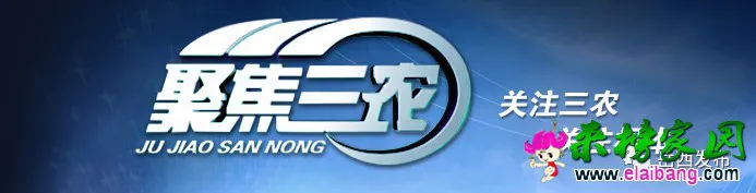cd7a130ed2d950d9eb4a9f5d883c991e.webp cd7a130ed2d950d9eb4a9f5d883c991e.webp