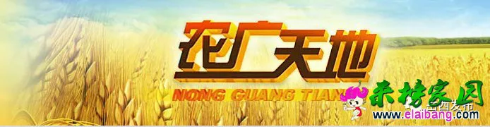 03a7a37708cdea4163be7b02ab746e2c.webp 03a7a37708cdea4163be7b02ab746e2c.webp