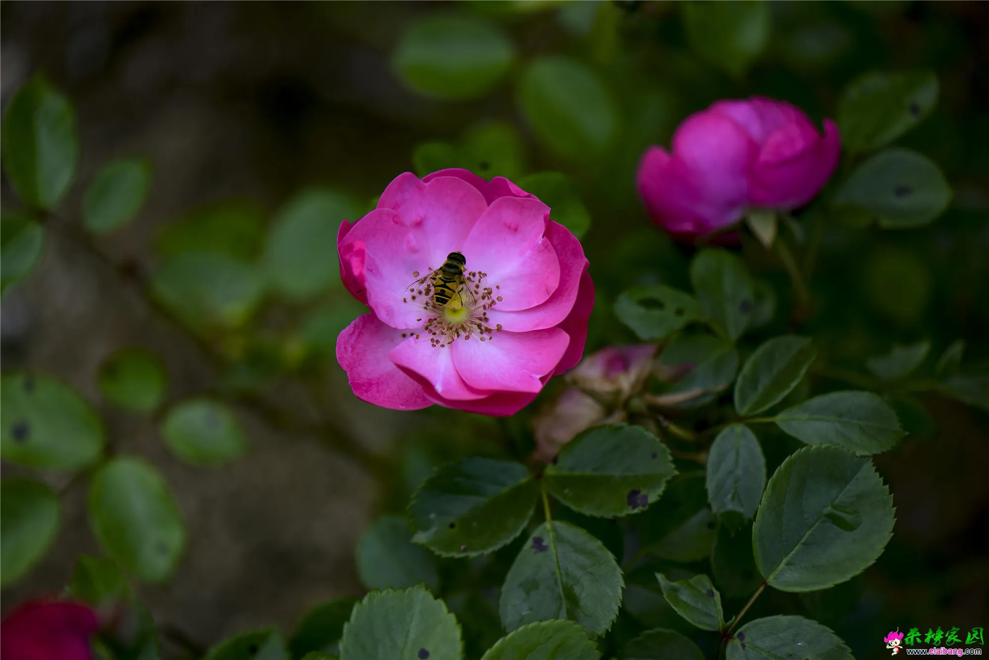 06_副本.webp