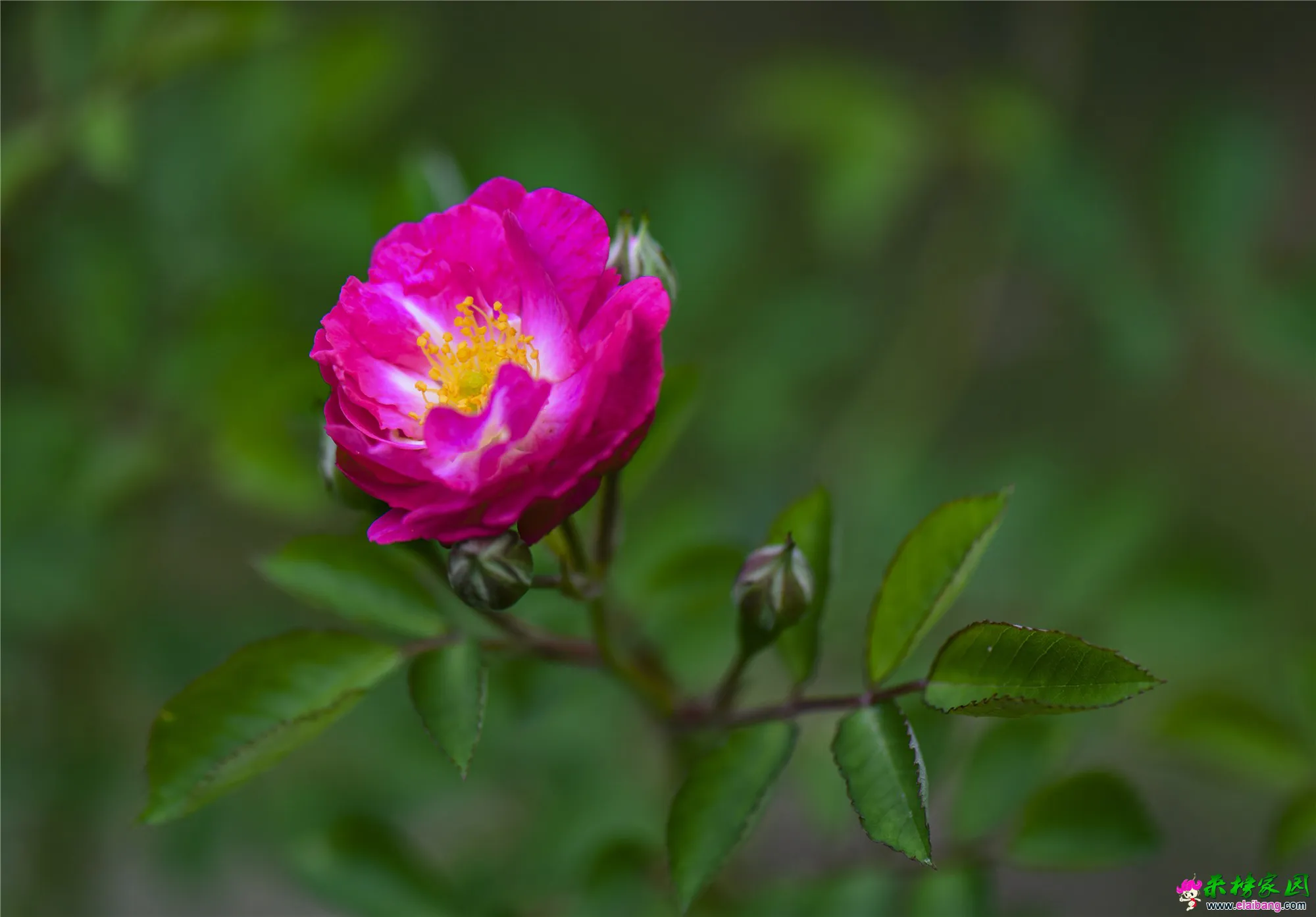 12_副本.webp