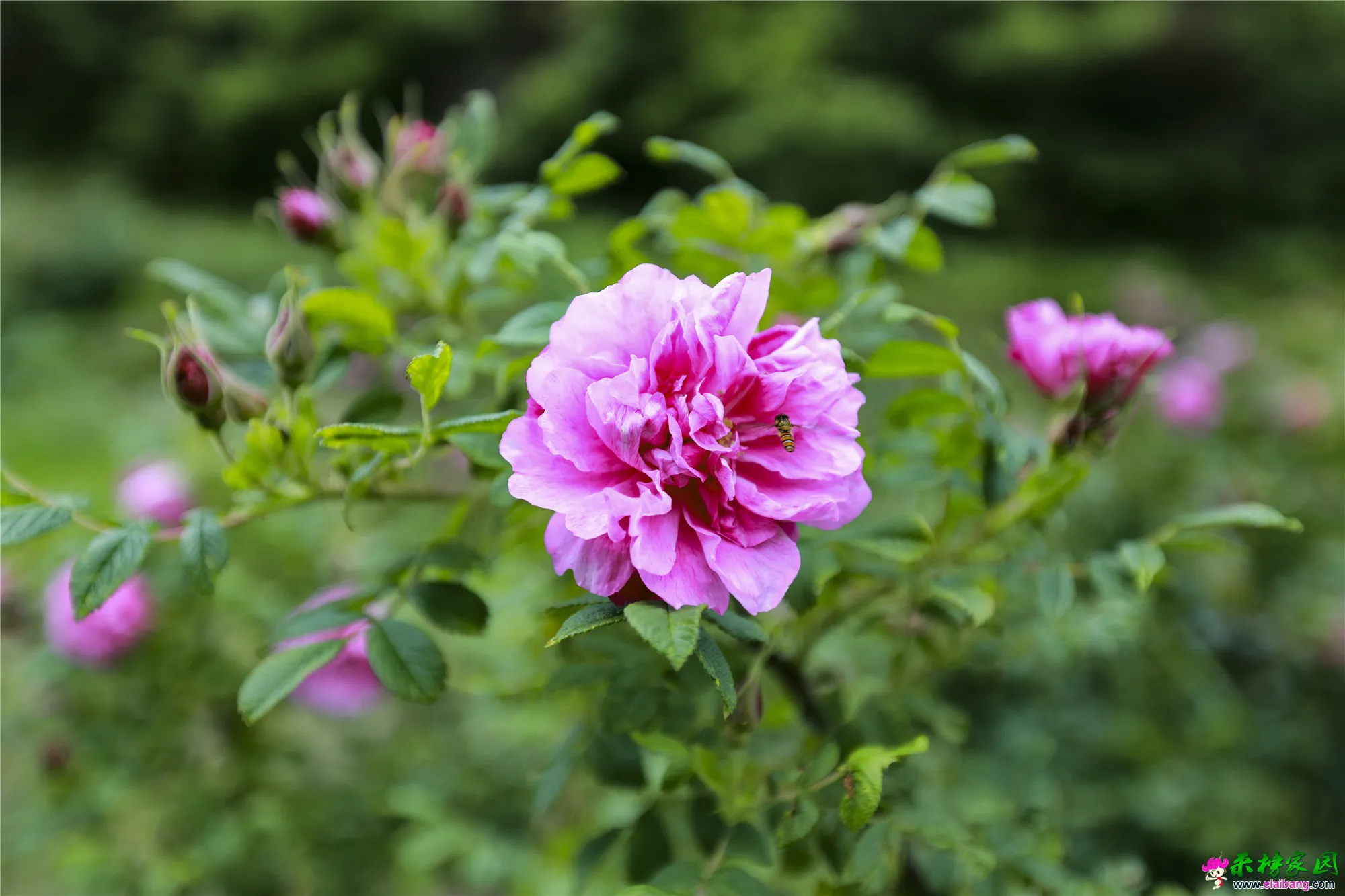 14_副本.webp