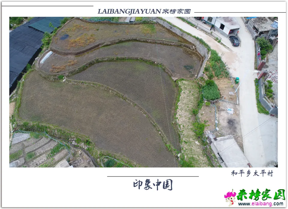 QQ图片20180515141210.webp