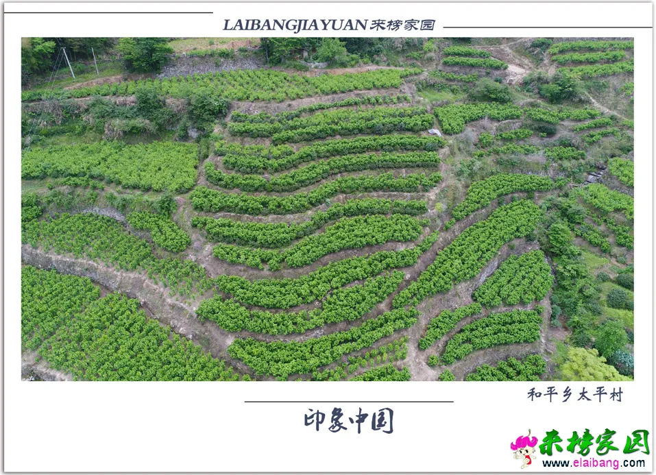 QQ图片20180515141244.webp