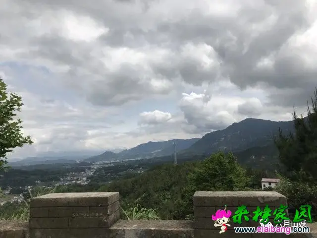 f22db68285a2cfabaad1ef28bf28267f.webp