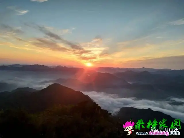 9e7c1f879c8909c325d09a897ce48e97.webp