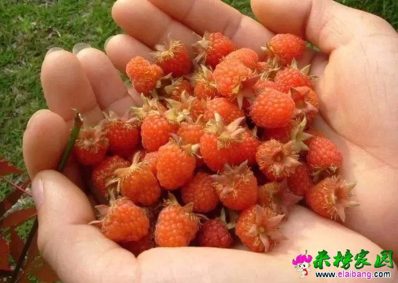 4b280770a872ae089d2cde14eba3eaf4.webp