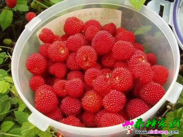 b7c9a6c41ba729543e2d0805bd0af79a.webp