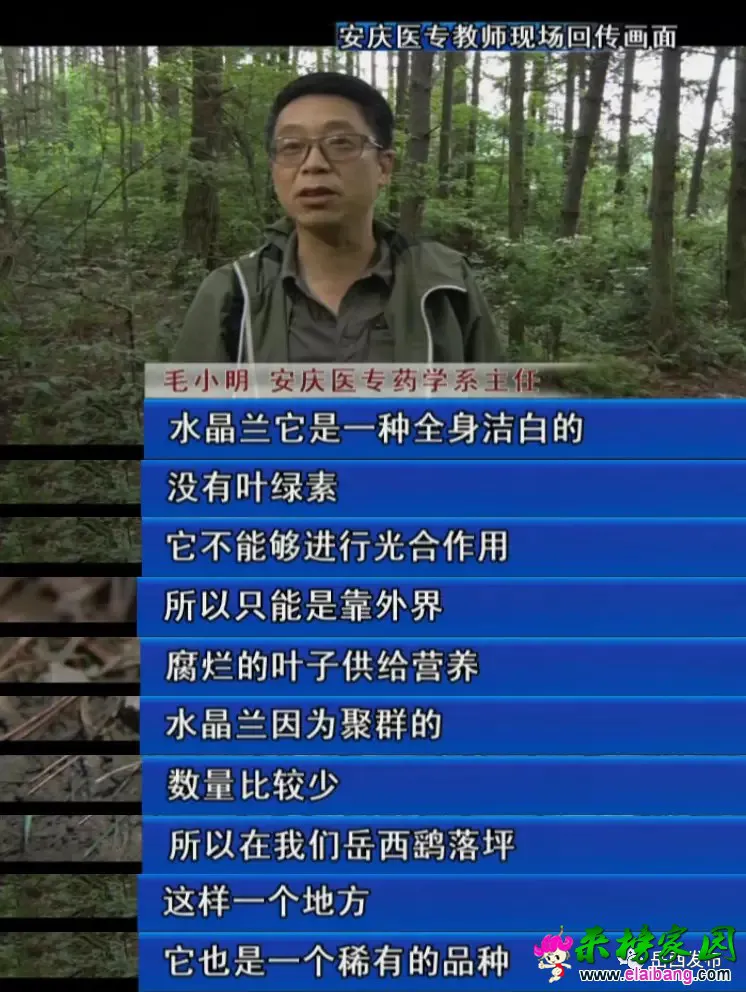 f51455be9ce9994defbe7558bdd3f903.webp