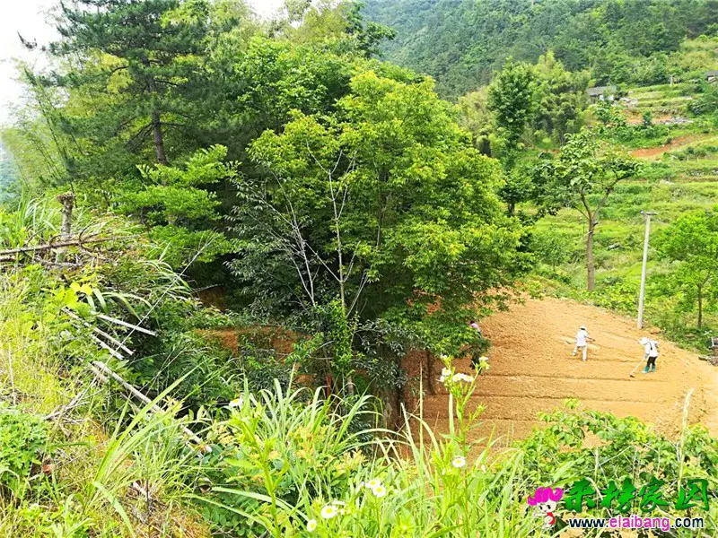 微信图片_20180527203650.webp