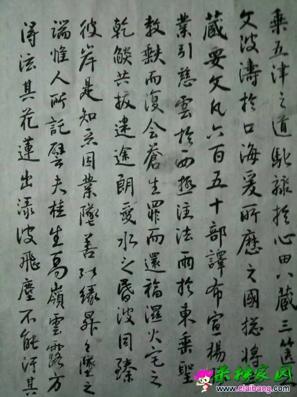 225528ri2h7zeng2jjo522.webp