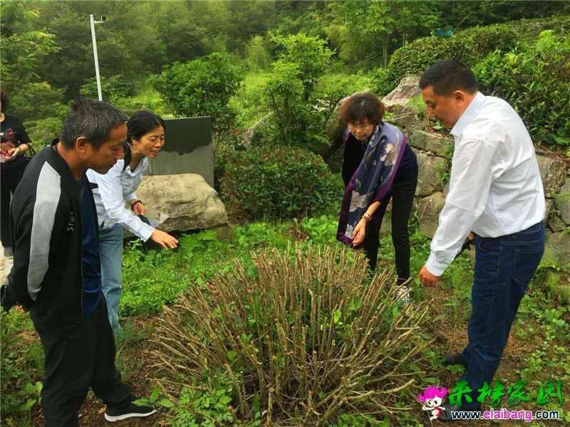 TIM图片20180612211844.webp