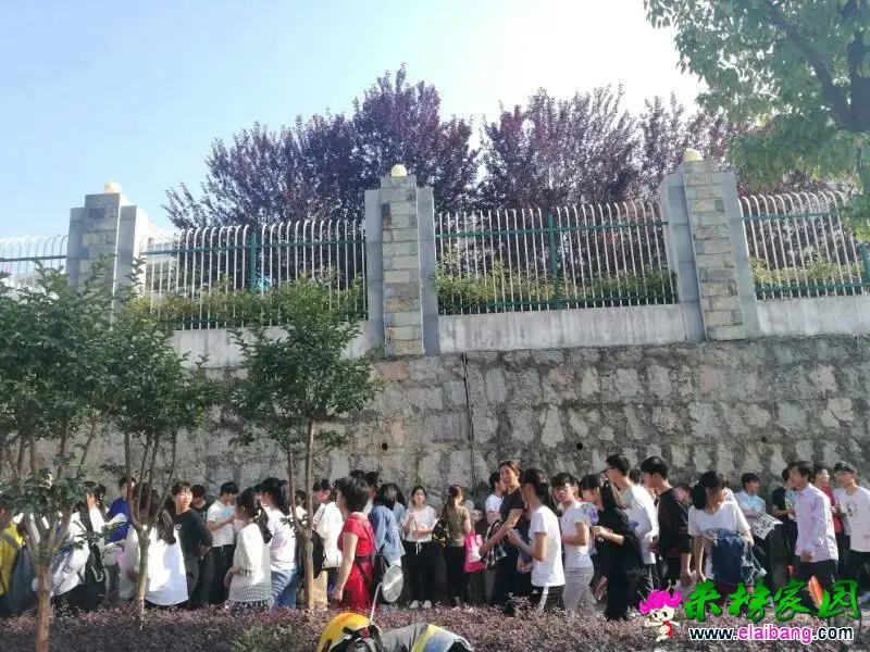 ff4d199bf5059cb9447e0ac112a81b37.webp