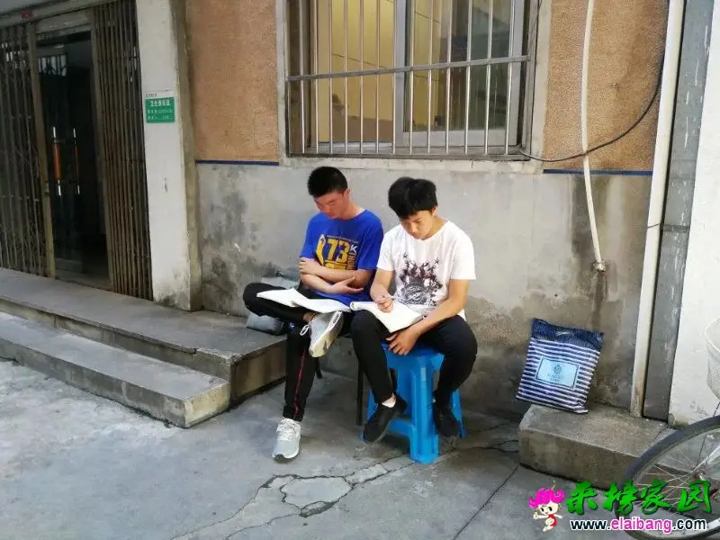 bacd9e10540d375395ba1bc1cb12a93e.webp