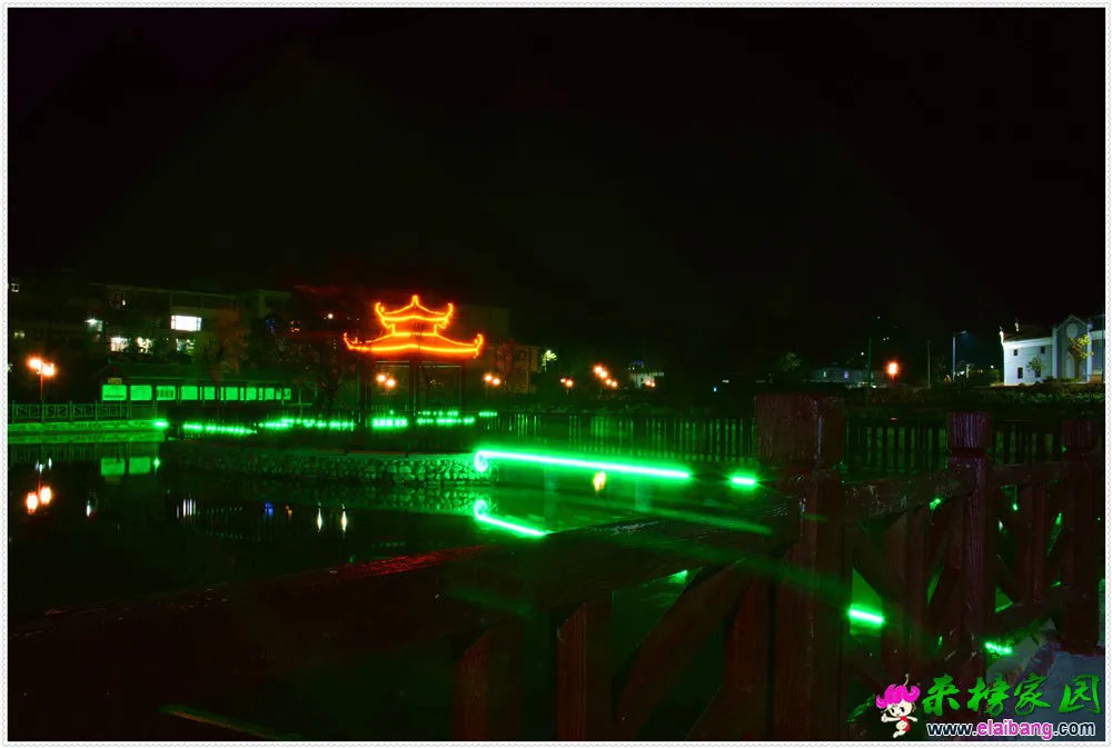 DSC_5393.webp