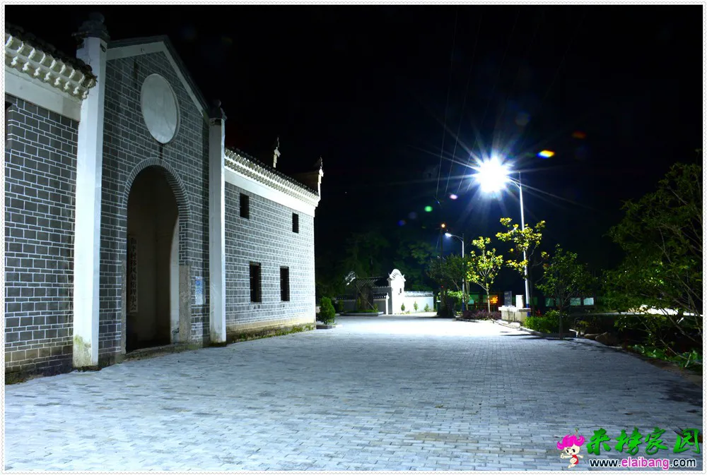 DSC_5397.webp
