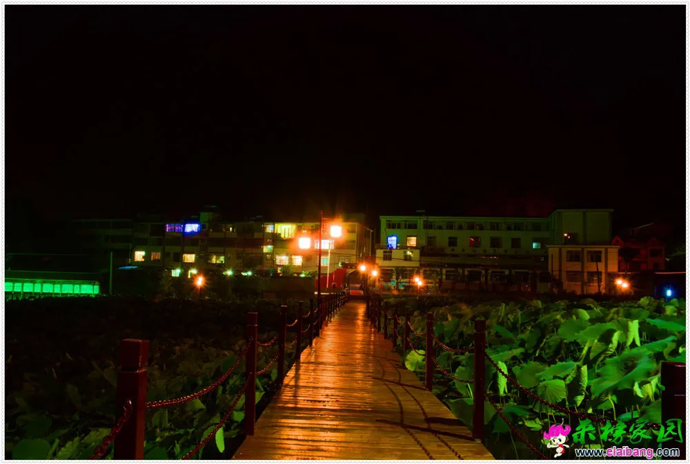 DSC_5398.webp
