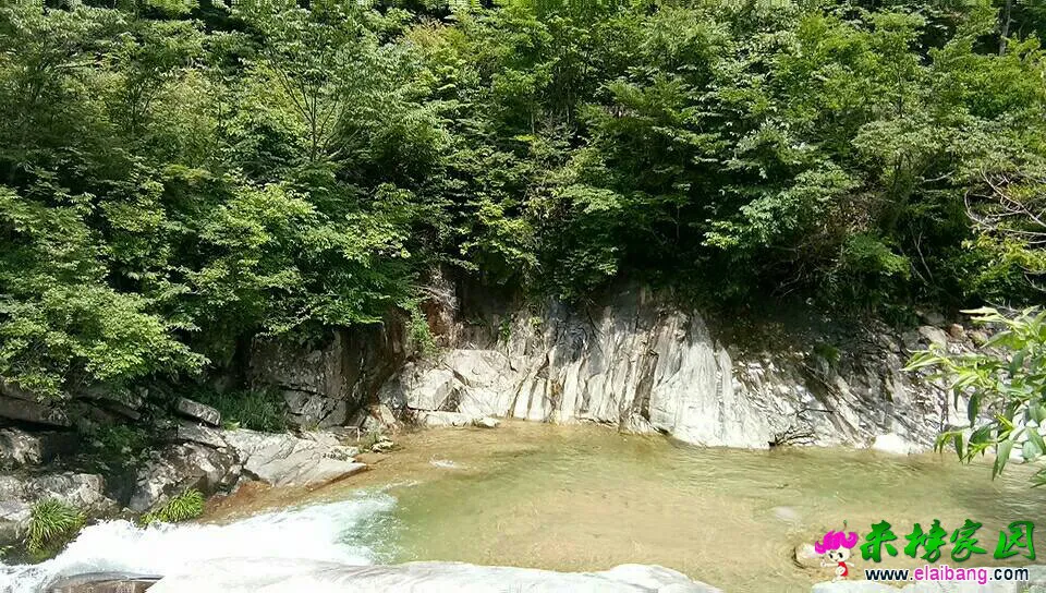 223021qcbgbfs6zbwfz663.webp