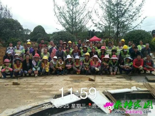 234106dgj0qly0jlaamimr.webp