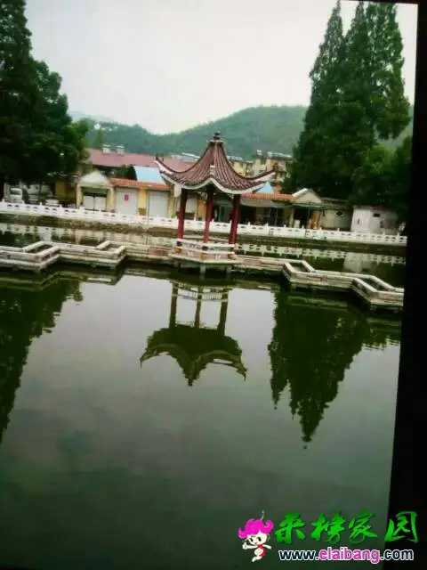 235914cz49uu656n6ghpda.webp