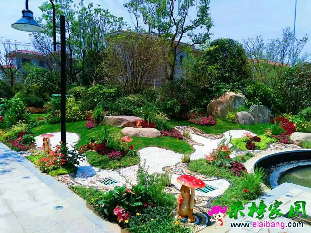 192447mjcj8b2ctt0c22yd.webp