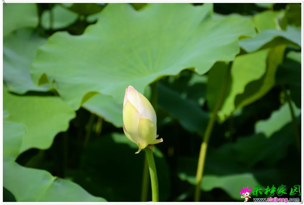 DSC_5439.webp