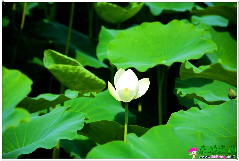DSC_5443.webp